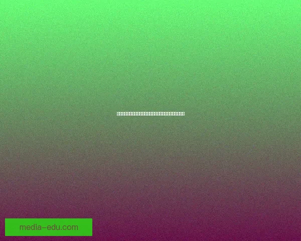 挑战黑龙军团的极限冒险之旅：勇者们的终极对决与命运之战